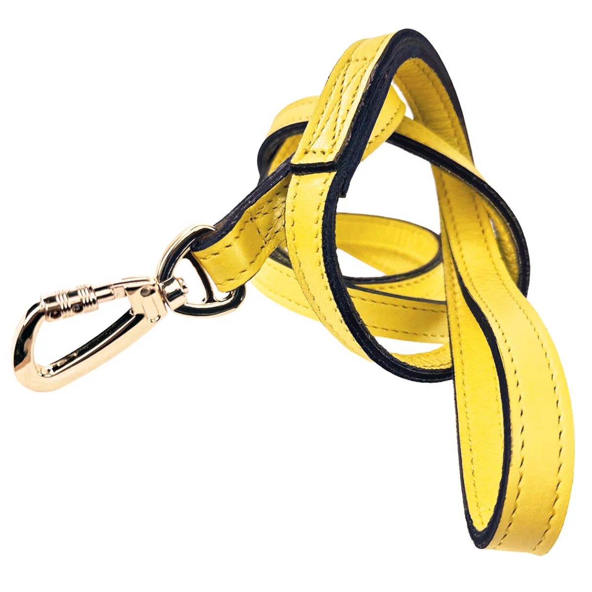 Leap Frog Dog Leash in Canary Yellow & Gold