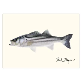 Schoolie Striped Bass Notecards